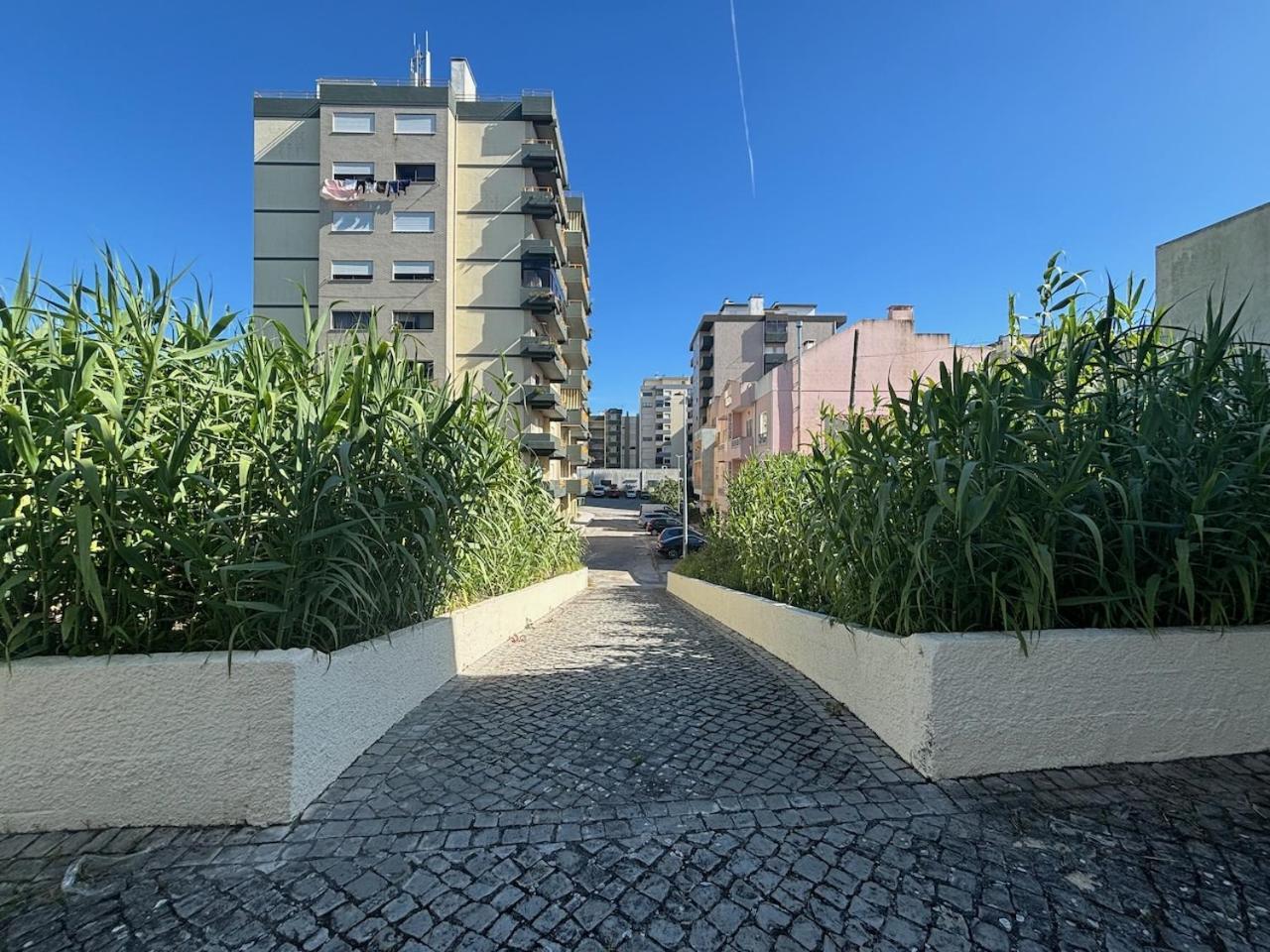 Rosario - Two Bedroom Apart- Buarcos - 菲盖拉-达福什 外观 照片